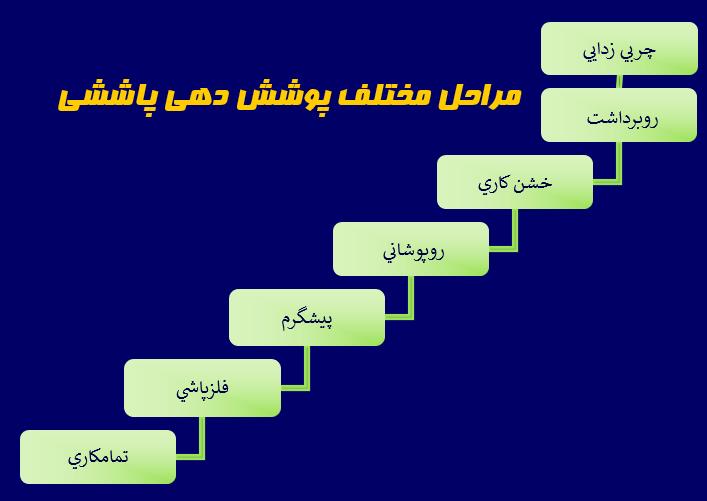 دانلود پاورپوینت پاشش حرارتی کمیاب و تخصصی ppt